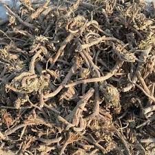 akarkara-dry-root