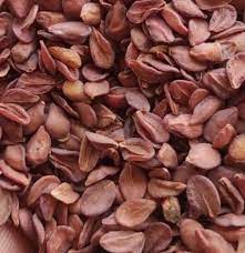 anantmool-seeds