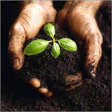 bio-organic-manure