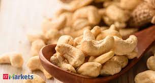 cashew-industry-startup-workshops