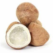 dried-coconut