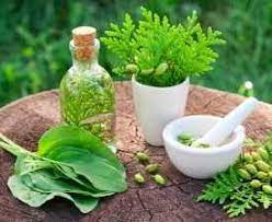 herbal-product-manufacturing-training-workshops
