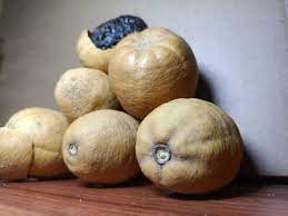 hingot