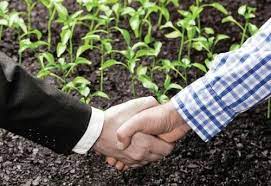horticulture-nursery-startup-training-workshops