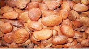 karanj-seed