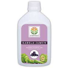 karela-jamun-juice