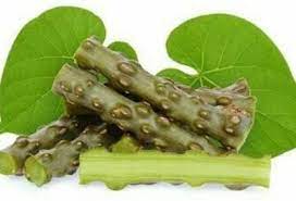 neem-giloy-seeds