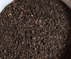 neem-khali