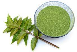 neem-leaf-powder
