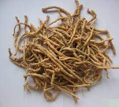 punarnova-dry-root