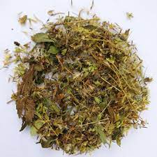 stevia-seeds