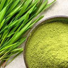 wheat-grass-powder